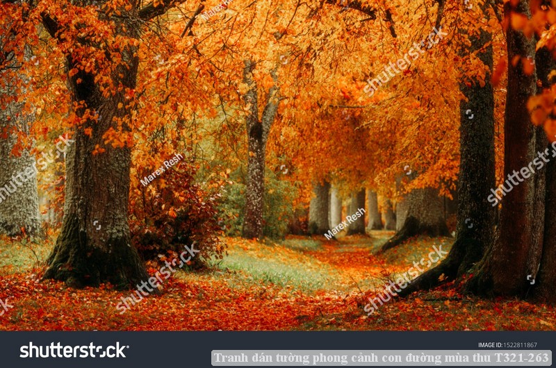 Tranh dán tường phong cảnh con đường mùa thu T321-263